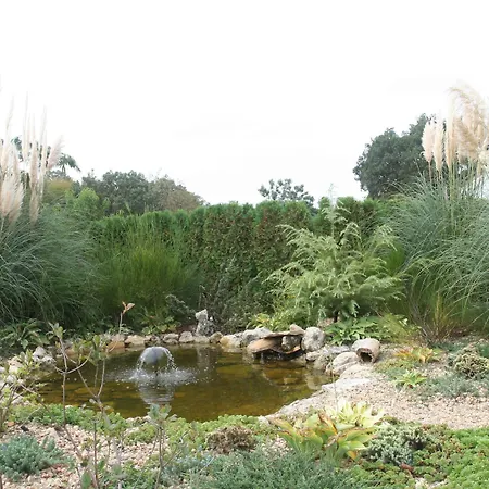 Отель Joya Park 4*