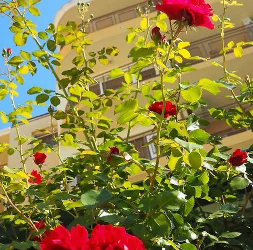 Отель Joya Park