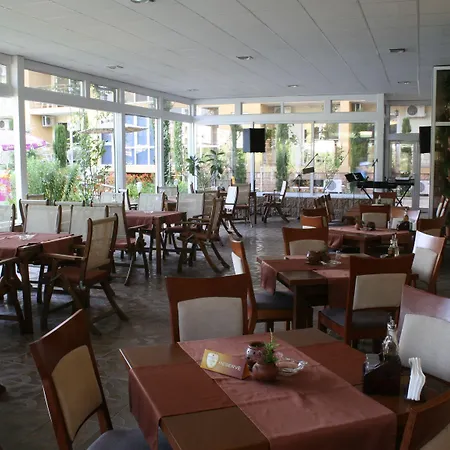 Joya Park Aranyhomok